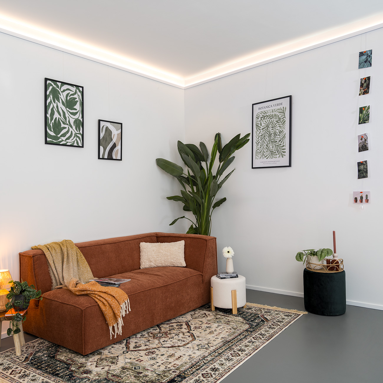 Cozy living room corner with a burnt-orange sofa, cream pillow, and mustard throw on a patterned rug with a tall leafy plant and botanical wall art.",