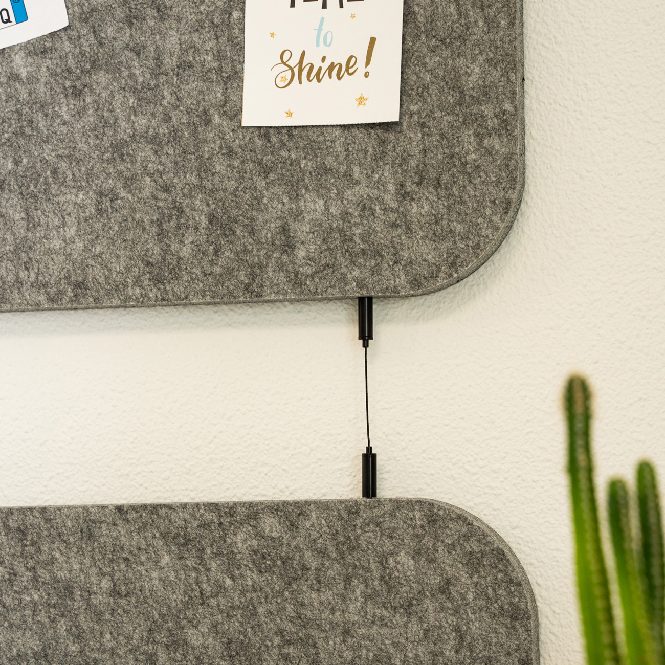 Grey felt panels mounted on a wall with a hanging cord; a note reads 'to Shine!' and a tall green cactus is visible on the right side.