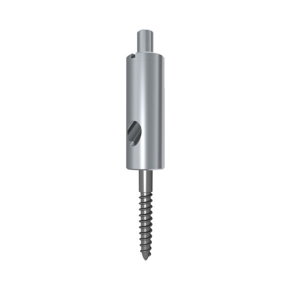 Metal cylindrical dental implant driver/display tool with a side viewing window and a threaded spiral shaft extending downward.
